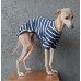 T-Shirt Round Neck Viscolycra - Galgo Italiano / Whippet