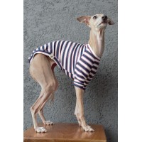 T-Shirt Round Neck Viscolycra - Galgo Italiano / Whippet