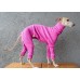 Jumpsuit Turtleneck Canelado - Galgo Italiano / Whippet