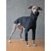 Sweater Turtleneck Cotton - Galgo Italiano / Whippet