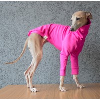 Sweater Turtleneck Cotton - Galgo Italiano / Whippet