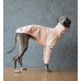 Sweater Turtleneck Cotton - Galgo Italiano / Whippet