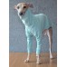 Sweater Turtleneck Cotton - Galgo Italiano / Whippet