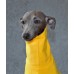 Sweater Turtleneck Cotton - Galgo Italiano / Whippet