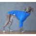 Sweater Turtleneck Cotton - Galgo Italiano / Whippet