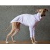 Sweater Turtleneck Cotton - Galgo Italiano / Whippet