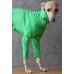 Sweater Turtleneck Cotton - Galgo Italiano / Whippet