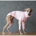 Sweater Turtleneck Cotton - Galgo Italiano / Whippet