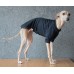 T-Shirt Round Neck Cotton - Galgo Italiano / Whippet