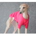 T-Shirt Round Neck Cotton - Galgo Italiano / Whippet