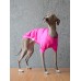 T-Shirt Round Neck Cotton - Galgo Italiano / Whippet