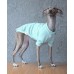 T-Shirt Round Neck Cotton - Galgo Italiano / Whippet