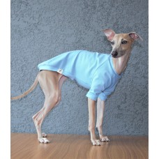 T-Shirt Round Neck Cotton - Galgo Italiano / Whippet