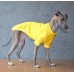 T-Shirt Round Neck Cotton - Galgo Italiano / Whippet