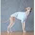 T-Shirt Round Neck Cotton - Galgo Italiano / Whippet