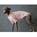 T-Shirt Round Neck Cotton - Galgo Italiano / Whippet