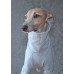 Sweater Turtleneck Cotton - Galgo Italiano / Whippet