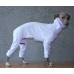 Jumpsuit Turtleneck Cotton - Galgo Italiano / Whippet