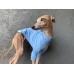 Sweater Proteção Solar +50 UV - Galgo Italiano / Whippet