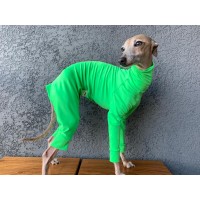 Jumpsuit Proteção Solar +50 UV - Galgo Italiano / Whippet