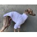 Sweater Proteção Solar +50 UV - Galgo Italiano / Whippet