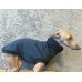 Colete Turtleneck Moletom Peluciado  - Galgo Italiano / Whippet