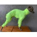 Jumpsuit Proteção Solar +50 UV - Galgo Italiano / Whippet