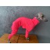 Jumpsuit Proteção Solar +50 UV - Galgo Italiano / Whippet