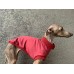 Colete Turtleneck Moletom Peluciado  - Galgo Italiano / Whippet