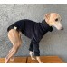 Sweater Turtleneck Plush Liso - Galgo Italiano / Whippet