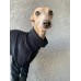 Jumpsuit Turtleneck Plush Liso - Galgo Italiano / Whippet