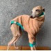 Sweater Turtleneck Maxi Plush Felpudo - Galgo Italiano / Whippet