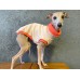 Colete Turtleneck Maxi Plush Felpudo - Galgo Italiano / Whippet