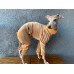 Jumpsuit Turtleneck Plush Liso - Galgo Italiano / Whippet