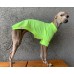 T-Shirt Round Neck Proteção Solar +50 UV - Galgo Italiano / Whippet