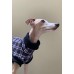 Colete Turtleneck  Moletom Peluciado Estampado - Galgo Italiano / Whippet