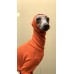 Sweater Turtleneck Canelado - Galgo Italiano / Whippet