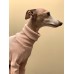 Sweater Turtleneck Canelado - Galgo Italiano / Whippet