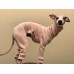 Jumpsuit Turtleneck Canelado - Galgo Italiano / Whippet