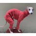 Jumpsuit Turtleneck Canelado - Galgo Italiano / Whippet