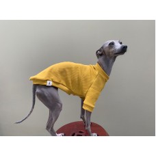 T-Shirt Round Neck Canelado - Galgo Italiano / Whippet